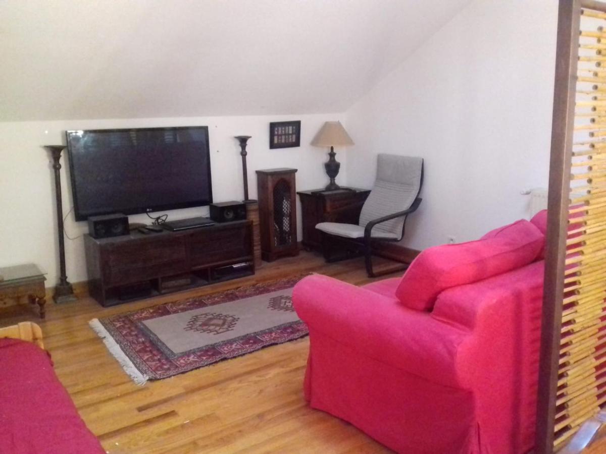 Appartement En Loft 50M2 Dans Maison Avec Chambre En Mezzanine Et Canapes Lits Dans Salon Saint-Pierre-de-Chartreuse Exteriér fotografie